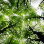 ed-van-duijn-2uTjeMfeVEU-unsplash