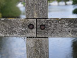 CHRZEST | cz. 3 – INTERESUJĄCE PYTANIA